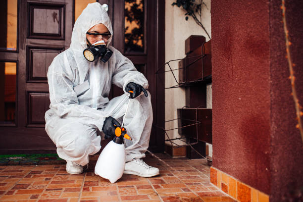 Reliable Ant Control contractor in Wewoka, OK by Nex Pest Control