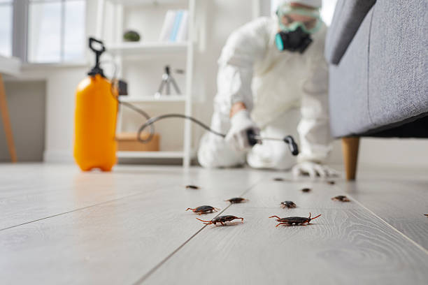 Trusted Rodent Control service in Wewoka, OK - Nex Pest Control
