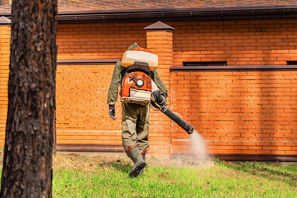 Trusted Ant Control service in Wewoka, OK - Nex Pest Control